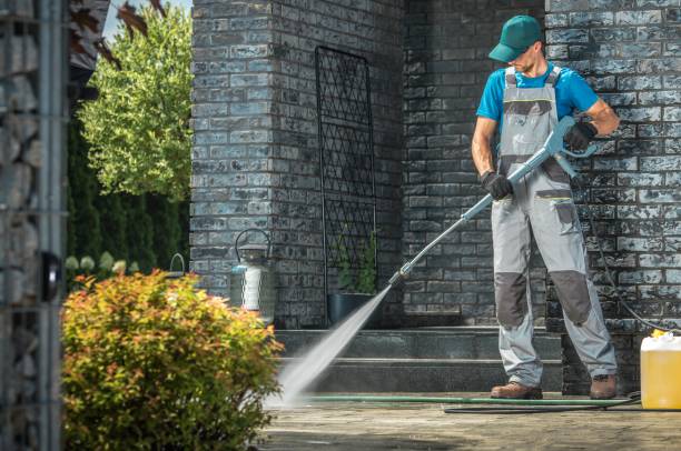 Best Solar Panel Cleaning  in Mahnomen, MN